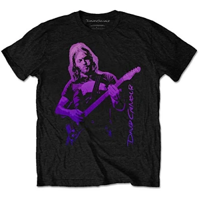 Afbeelding van David Gilmour Pig Gradient Heren T shirt M Zwart