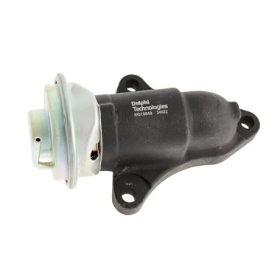 Afbeelding van Delphi Diesel EGR klep EG10648 12B1