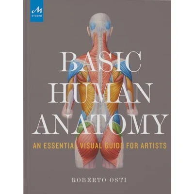 Afbeelding van Basic Human Anatomy