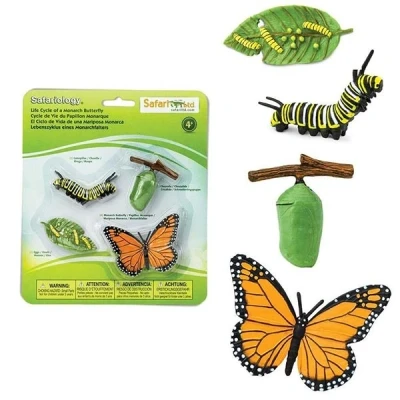 Afbeelding van Levenscyclus Monarchvlinder Safari Ltd