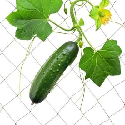 Afbeelding van Relaxdays klimnet planten jute steungaas plantennet moestuin klimgaas 2 x 5 m