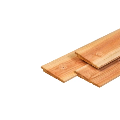 Afbeelding van Lariks/douglas Potdekselplank Onbehandeld 1,1 2,2x19,5x400 cm