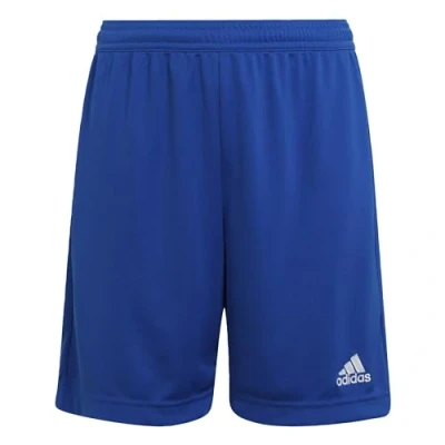 Afbeelding van adidas Entrada 22 Shorts uniseks kinderen