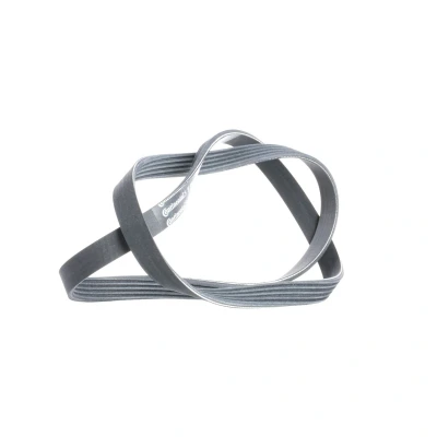 Afbeelding van Poly V riem CONTINENTAL CTAM 5PK1219