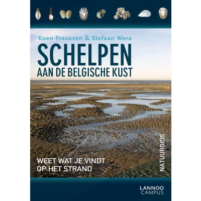 Afbeelding van Schelpen aan de Belgische kust