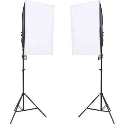Afbeelding van vidaXL Studiolampen 2 st professioneel 40x60 cm