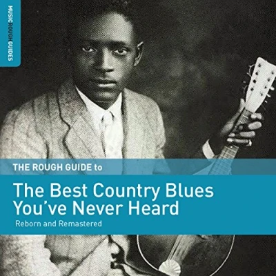 Afbeelding van Various Artists The Rough Guide To Best Country Blues You&#039;Ve Never Heard (CD)
