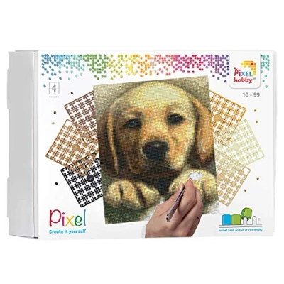 Afbeelding van Pixelhobby geschenkdoos 4 basisplaten Hond