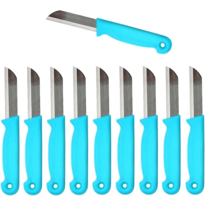 Afbeelding van Solingen Schilmesje RVS Glad 18,5 cm met &quot;Blade Cover&quot; Turquoise 500 Stuks