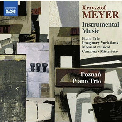 Afbeelding van Various Artists Krzysztof Meyer: Instrumental Music (CD)