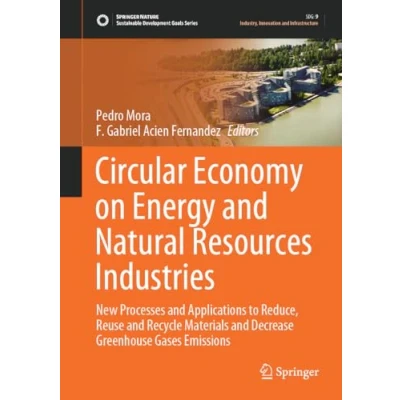 Afbeelding van Sustainable Development Goals Series Circular Economy on Energy and Natural Resources Industries