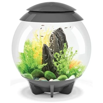 Afbeelding van Biorb Aquarium Halo 30 Mcr Aquaria l Grijs