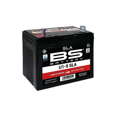 Afbeelding van BS Battery SLA accu voor auto U1 9/12V 28Ah nieuw