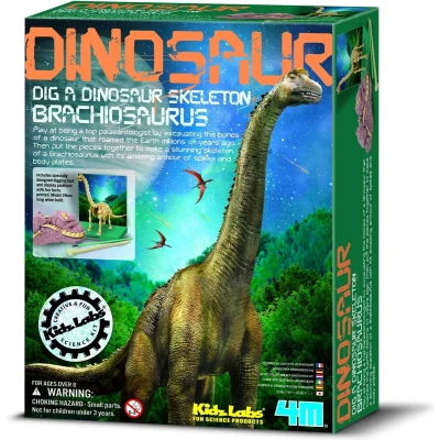 Afbeelding van 4m Kidzlabs: graaf je dinosaurus op brachiosaurus franstalig