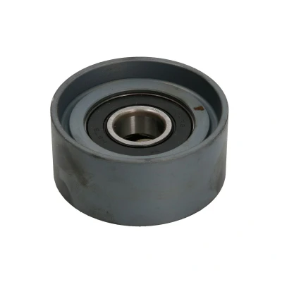 Afbeelding van DAYCO APV2403 Geleiderol