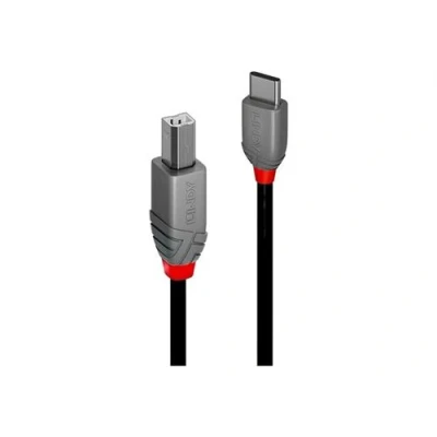 Image de Lindy Câble USB 24 pin C (M) pour type B 2.0 3 m noir