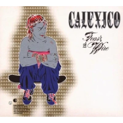 Afbeelding van Calexico Feast of Wire