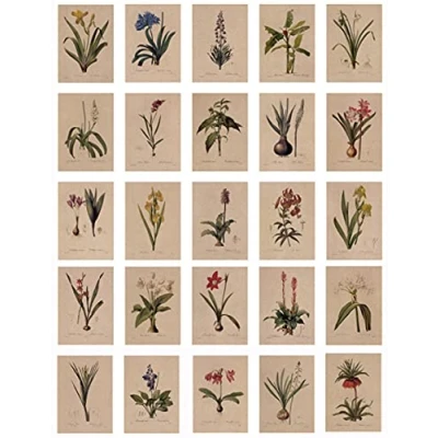 Afbeelding van Set van 24 vintage ansichtkaarten met mooie bloementaal gedrukt op kraftpapier, liefde, vriendschap, leven, motiverende wenskaarten, lelie