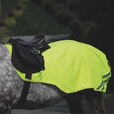 Afbeelding van Equi Flector Uitrijdeken Mesh Reflecterend Geel 110/145