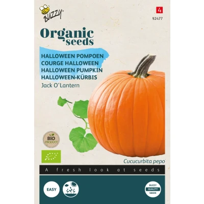 Afbeelding van Organic Pompoen Jack O&#039;Lantern (BIO) Buzzy