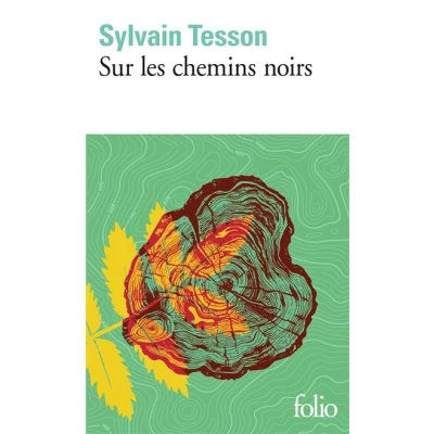 Image de Sur les chemins noirs DVD