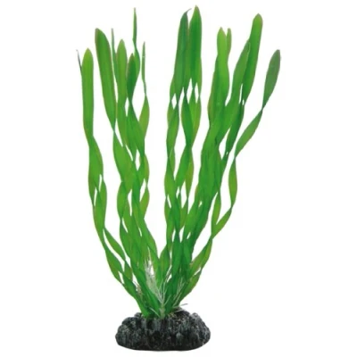 Afbeelding van Hobby Plant Vallisneria 20CM