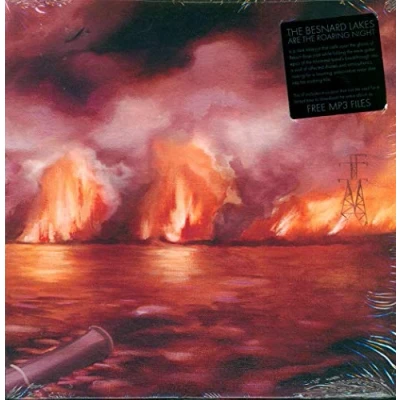 Afbeelding van Besnard Lakes Are The Roaring Night