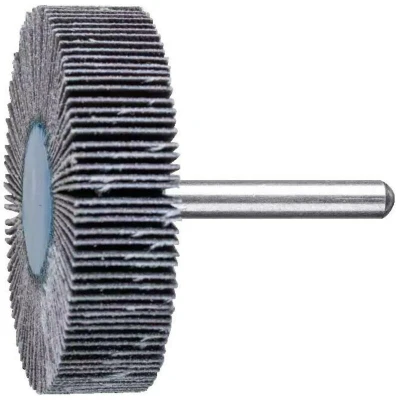 Afbeelding van PFERD 44460120 Lamellenschijf Diameter 60 mm 10 stuk(s)