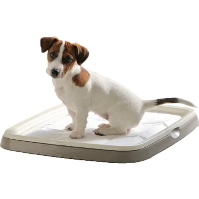 Afbeelding van Savic puppy trainer starterkit medium Gebr. de Boon