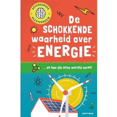 Afbeelding van Spoedcursus meesterbrein De schokkende waarheid over energie