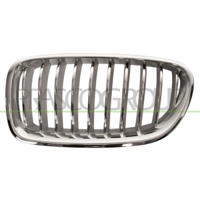 Afbeelding van PRASCO BM0502014 Grille Auto Links Titanium, Zwart BMW: 5 Saloon, Touring
