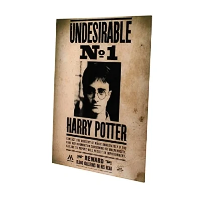 Afbeelding van Harry Potter: Undesirable No. 1 30 x 40 cm Glass Poster