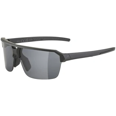Afbeelding van Zonnebrillen Alpina Swift HR Black Matt/Black
