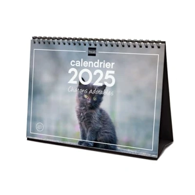 Afbeelding van Finocam Bureaukalender met afbeeldingen om te schrijven 2025, 1 maand per pagina, januari 2025 december (12 maanden) Franse kittens