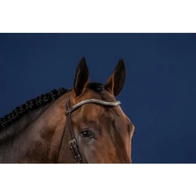 Afbeelding van Dy on Silver Clincher V Shaped Browband Hunter Brown Maat Full