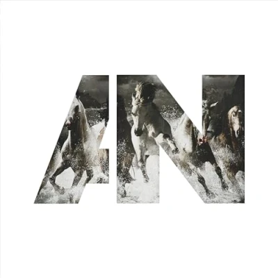 Afbeelding van Run (LP)
