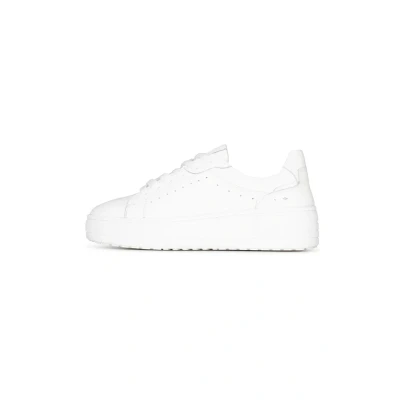 Afbeelding van PS Poelman Anemone Sneakers laag, Dames, Maat: 38, White Schoenen