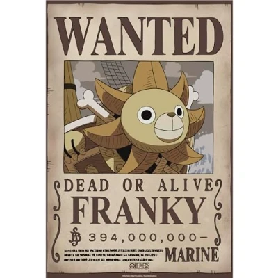 Afbeelding van Poster One Piece Wanted Franky Wano 38x52cm