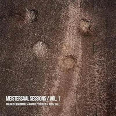 Afbeelding van Freigeist Ensemble &amp; Joolz Gale Marlis Petersen Meistersaal Sessions / Vol. 1: Romantic Chamber Music (CD)