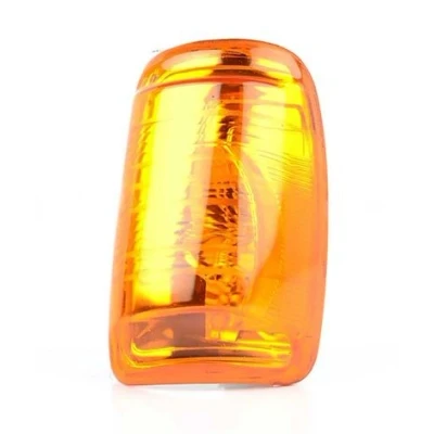 Afbeelding van BSG Knipperlicht 30 916 008