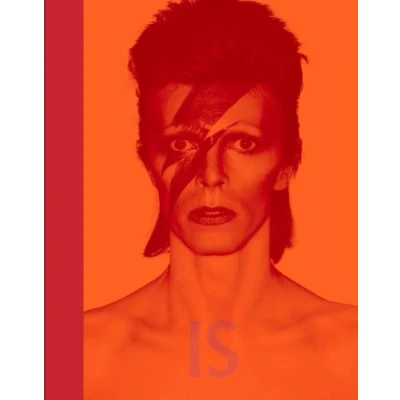 Afbeelding van David Bowie Is