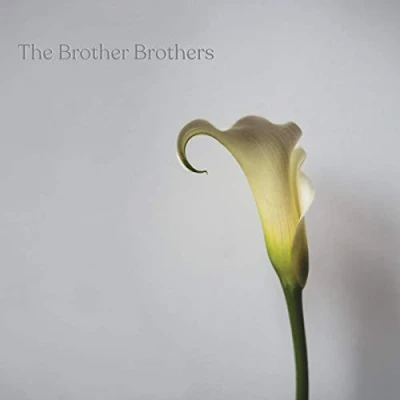 Afbeelding van Calla Lily