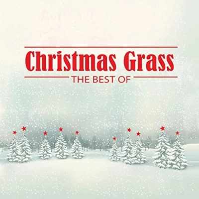 Afbeelding van V/A Christmas Grass: the Best of (LP)