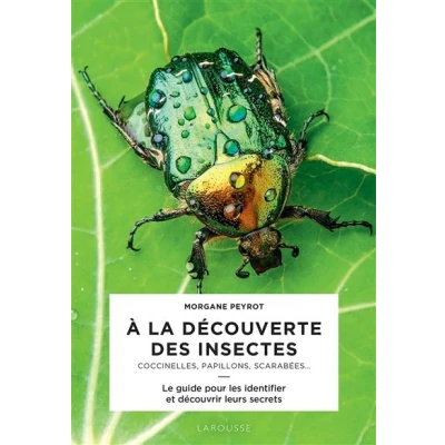 Image de A la découverte des insectes