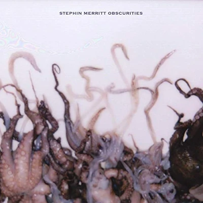 Afbeelding van Stephin Merritt Obscurities