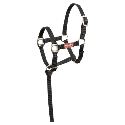 Image de Premiere Ensemble Poulain Halser Brisk Avec Mini Ligne Noir