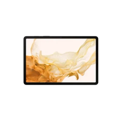 Image de Samsung Galaxy Tab S8 WiFi X700 256GB Gris