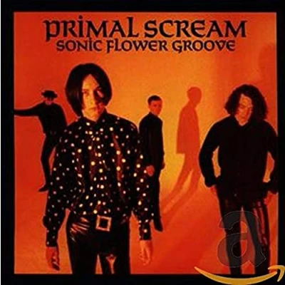 Afbeelding van Sonic Flower Groove