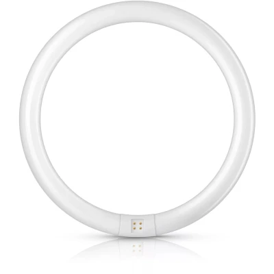 Afbeelding van Philips TL E Circular Spaarlamp G10q 32W Koel Wit Licht Niet Dimbaar