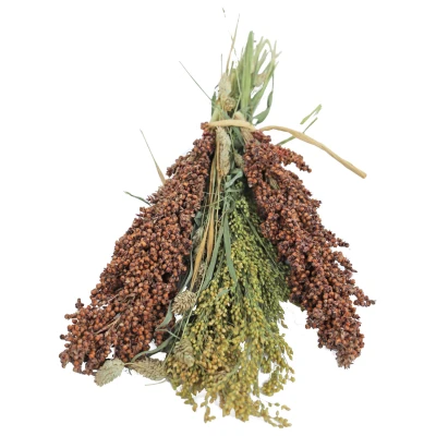 Afbeelding van JR Farm Pick &amp; Fly 130 g